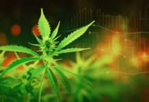 New research on the state of the cannabis industry in the US by Coinpaper Cannabis Market Analysis & Opinion by Coinpaper.