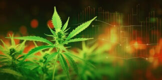 New research on the state of the cannabis industry in the US by Coinpaper Cannabis Market Analysis & Opinion by Coinpaper.