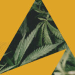 Atlantic Cultivation Expands Nationwide with Strategic Acquisition of Tantalus Labs Brand Atlantic Cultivation logo