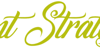 Powerful Women-led Team Behind Minnesota’s Cannabis Legalization Effort, ‘MN is Ready,’ Launches New Statewide Effort Blunt Strategies logo