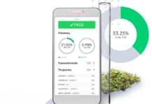 CannVerify and Confident Cannabis Join Forces to Streamline Lab Results Sharing for Cannabis Brands CanVerify