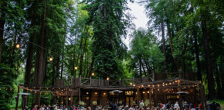 2nd Annual Mendocino Craft Farmers Auction Photo Gallery Dining Area MCFA 2023 by Brian Parks