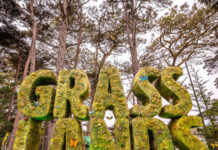 Outside Lands’ Grass Lands Celebrates Culture, Community, and Cannabis Grass Lands event 2023