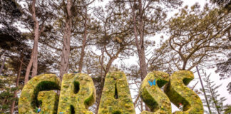 Outside Lands’ Grass Lands Celebrates Culture, Community, and Cannabis Grass Lands event 2023