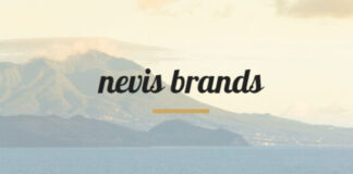 NEVIS BRANDS INC. Announces Changes to Audit and Legal Services, adds Market Maker Nevis Brands logo-696x268