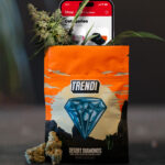 The World’s Largest Cannabis Dispensary Launches New App Making Ordering Premium Products Easy Planet 13 app