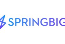 springbig Launches Campaign Follow-Ups Feature springbig new logo