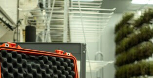 The Future of Potency Testing: Orange Photonics Revolutionizes HPLC Science with Portable, Edibles-Capable Cannabis Analyzer for Non-Technical Users unnamed (4)