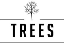 TREES CORPORATION FILES FOR CCAA PROTECTION Trees Corporation Logo