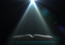 The Peculiar Origin of Internal Revenue Code Section 280E 280E origins SWEviL 1062392618