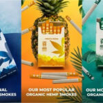 Hempshire Group Announces Management Changes Mountain Smokes-1