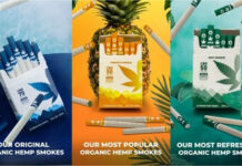 Hempshire Group Announces Second Quarter Financial Results Mountain Smokes (1)
