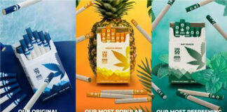 Hempshire Group Announces Second Quarter Financial Results Mountain Smokes (1)