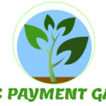 Organic Payment Gateways Launches New WordPress Payment Processing Solution for Telemedicine and MMJ Card Consultation Practices Organic Payment Gateways logo