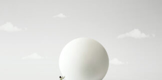 Debt Financing Is on the Rise Man,Rolling,Big,Heavy,Ball,,Surreal,Concept