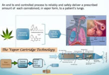 New Vapor Cartridge Technology Vapor Cartridge Technology Overview