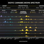 Abstrax Discovers New Exotic Flavor Compounds and Cannabis’ Hidden Flavor Spectrum Abstrax-Exotic-Cannabis-Aroma-Spectrum