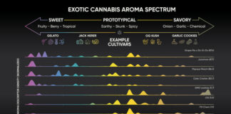 Abstrax Discovers New Exotic Flavor Compounds and Cannabis’ Hidden Flavor Spectrum Abstrax-Exotic-Cannabis-Aroma-Spectrum