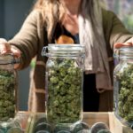 10 Best-Selling Cannabis Strains in California 2023 weed strains cannabis flower in jars for sale