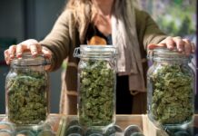 10 Best-Selling Cannabis Strains in California 2023 weed strains cannabis flower in jars for sale