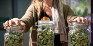 10 Best-Selling Cannabis Strains in California 2023 weed strains cannabis flower in jars for sale