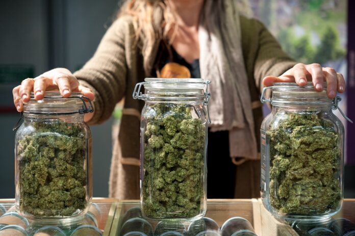 weed strains cannabis flower in jars for sale