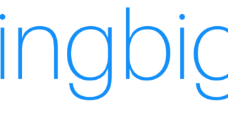 Springbig Reports Q2 2025 Financial Results springbig