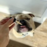 Pet Releaf Announces New Retailer Resources, Including Pet Releaf University and Dedicated Support Specialists unnamed (6)