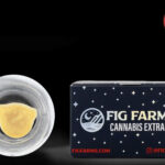 Fig Farms Wins at Annual High Times Cannabis Cup Illinois Fig Farms product