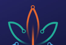 Israeli Ministry of Health Reports Surge in Medical Cannabis Patients Following Recent Events BYND Cannasoft