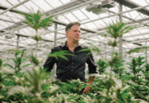 Jason Wild Unleashed Jason Wild TerrAscend cannabis cultivation facility