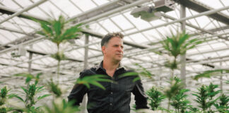 Jason Wild Unleashed Jason Wild TerrAscend cannabis cultivation facility