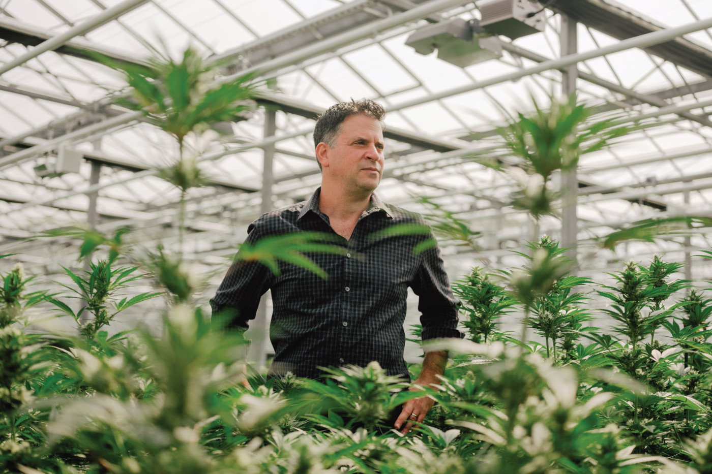 Jason Wild TerrAscend cannabis cultivation facility