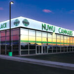 Bigger is Better at Nuwu Cannabis Marketplace NuWu-Cannabis-Marketplace 005