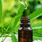 Revolutionary Rick Simpson Oil Now Widely Available in Canada RSO tincture