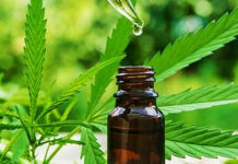 Revolutionary Rick Simpson Oil Now Widely Available in Canada RSO tincture