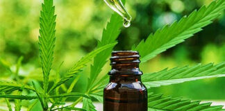 Revolutionary Rick Simpson Oil Now Widely Available in Canada RSO tincture