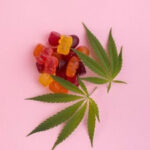 CAA SCO Survey Reveals Spike in Cannabis-Impaired Driving on Edibles in Ontario unnamed (6)