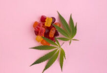 CAA SCO Survey Reveals Spike in Cannabis-Impaired Driving on Edibles in Ontario unnamed (6)