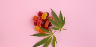 CAA SCO Survey Reveals Spike in Cannabis-Impaired Driving on Edibles in Ontario unnamed (6)