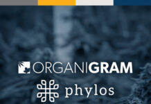 Organigram Increases Investment in Phylos unnamed (7)