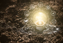 The Cannabis Nutrients Required to Fuel Significant Growth a light bulb planted in the dirt illuminating from the perfect balance of nutrients for success