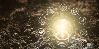 The Cannabis Nutrients Required to Fuel Significant Growth a light bulb planted in the dirt illuminating from the perfect balance of nutrients for success