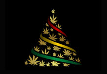 Mom imprisoned for Cannabis returns home for the holidays cannabis Christmas tree andrijamarkovic depositphotos