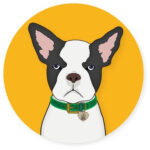 CBD Dog Health Launches Online Academy CBD Dog Health logo