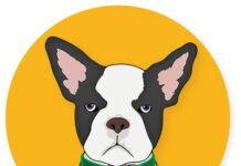 CBD Dog Health Launches Online Academy CBD Dog Health logo