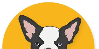 CBD Dog Health Launches Online Academy CBD Dog Health logo