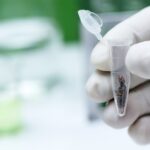 Most California Labs Barred from Testing Flower Cannabis flower lab testing for compliance