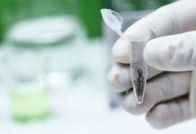 Most California Labs Barred from Testing Flower Cannabis flower lab testing for compliance