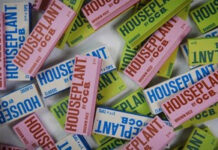 HOUSEPLANT AND OCB PARTNER TO LAUNCH ROLLING PAPERS AND CONES Houseplant x OCB rolling papers